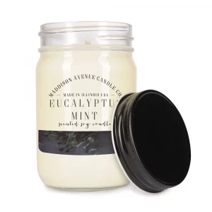 Eucalyptus Mint Jelly Jar Candle